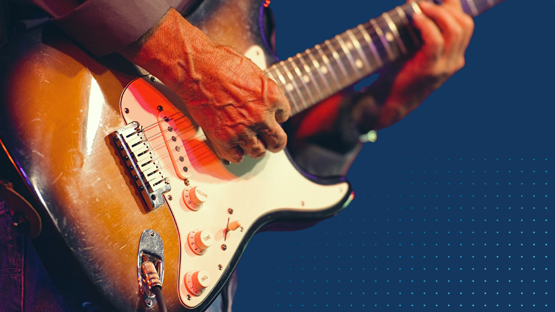 Songview Musician guitarist